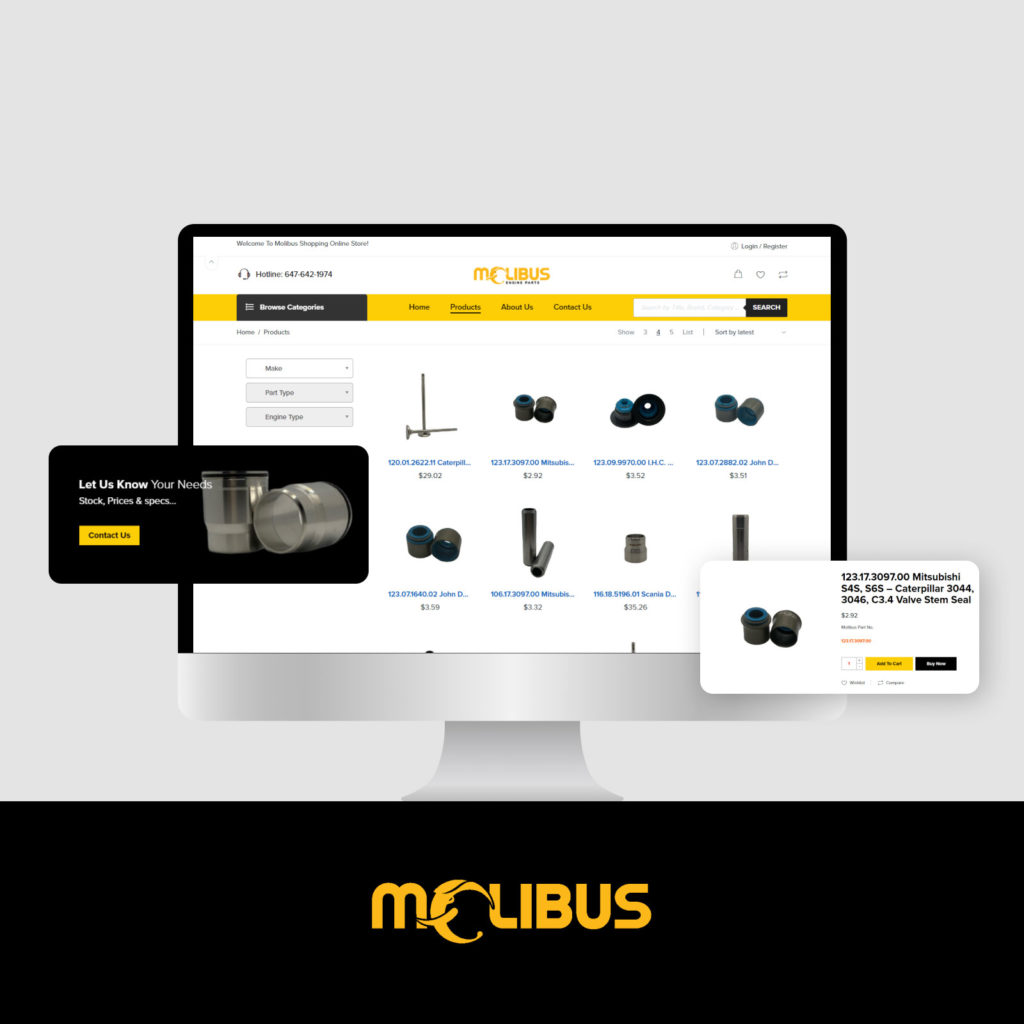 A desktop displaying Molibus website