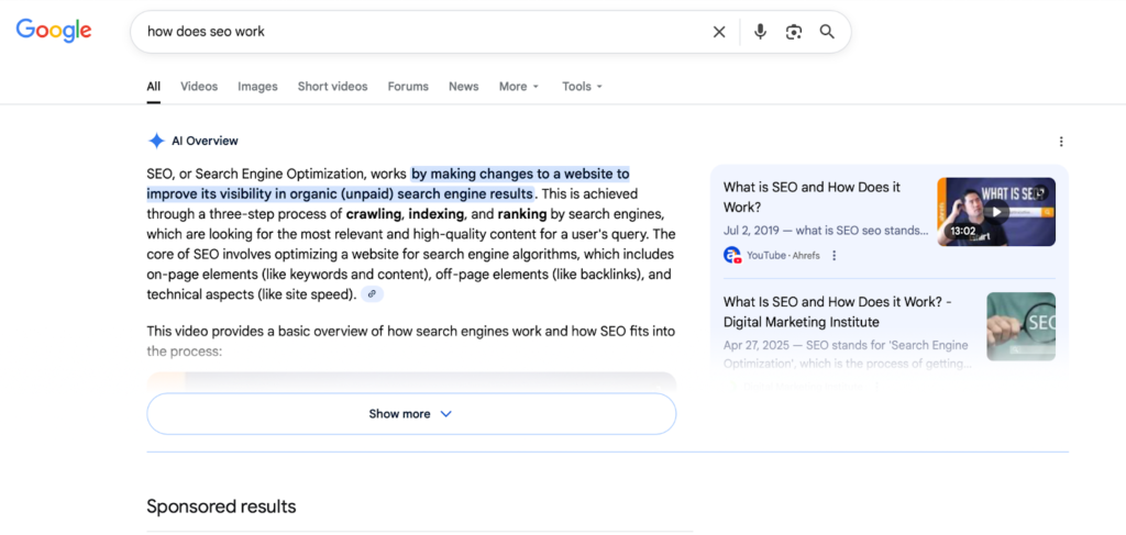 image | Digilite How to Show Up in Google’s AI Overview: A Real-World Success Story