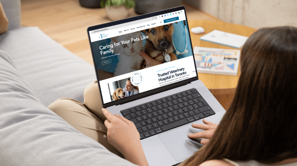SEO Case Study How We Grew Organic Clicks 44× in 6 Months for a Toronto Veterinary Website Then Doubled Them in 1 Month 1 | Digilite