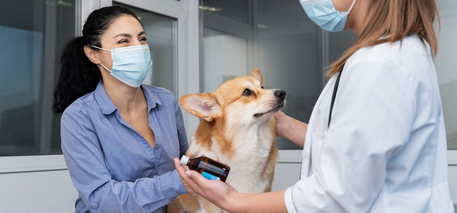 How York Veterinary Hospital Increased Google Ads Conversions by 75% in 3 Months